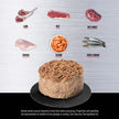 Orijen Gourmet Entrée Wet Cat Food - Duck, Chicken, Tuna, Beef & Regional Flavors