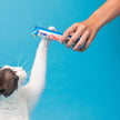 Churu - Single Cat Treat Tube - Assorted