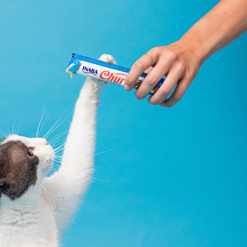 Churu - Single Cat Treat Tube - Assorted