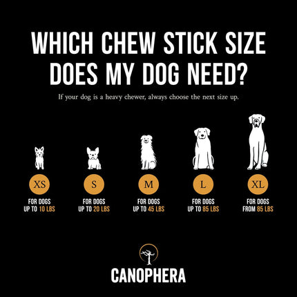 Canophera – Natural Desire To Chew – Dog Chew Stick Made of Olive Tree Wood – X-Small