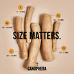 Canophera – Natural Desire To Chew – Dog Chew Stick Made of Olive Tree Wood – X-Small