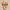 Canophera – Natural Desire To Chew – Dog Chew Stick Made of Olive Tree Wood – X-Small