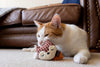 Feline Frenzy Foxsy & Hopsy Toy Set