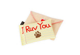 PET P.L.A.Y. – Ruv Letter Plush Love Letter