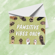 PAWSITIVE VIBES ONLY Card