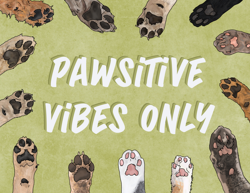Pawsitive Card PAWSITIVE VIBES ONLY Card: Perfect for Special Moments - Critter & Co ...