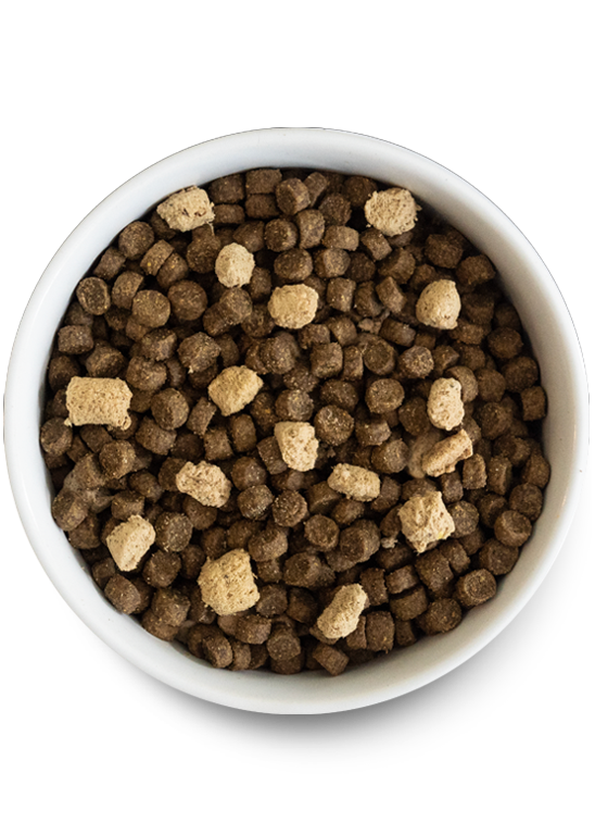 Grain-Free RawMix Kibble
