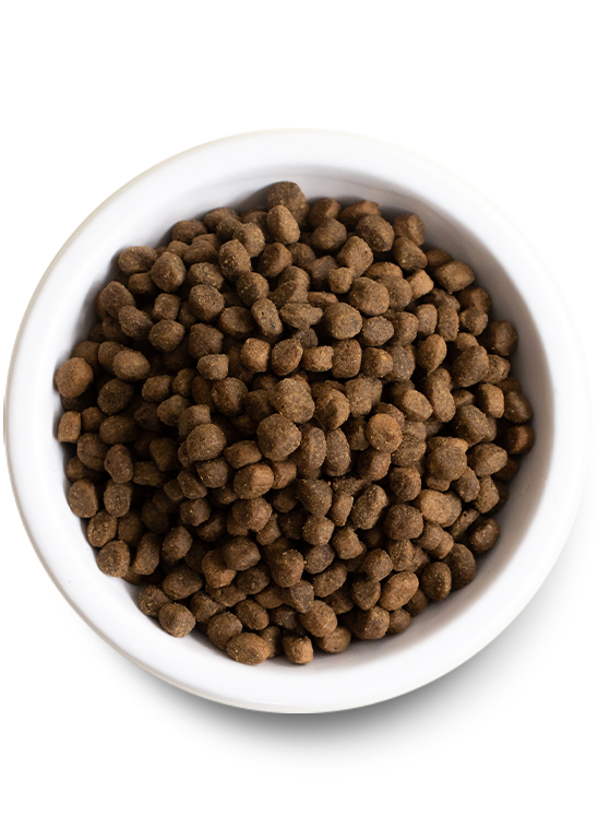 Open Farm Grass-Fed Beef GF Kibble