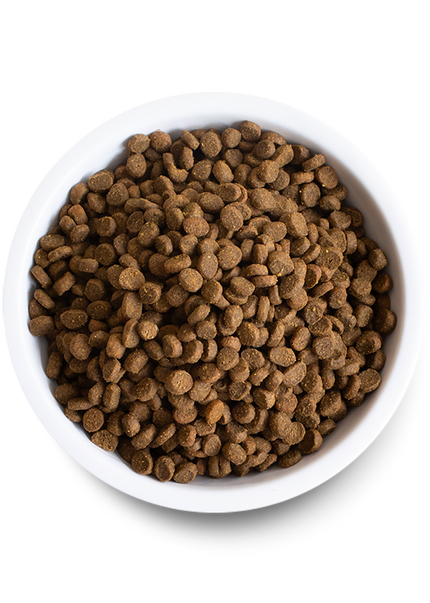 Open Farm® Wild-Caught Salmon Dry Cat Food 2lb