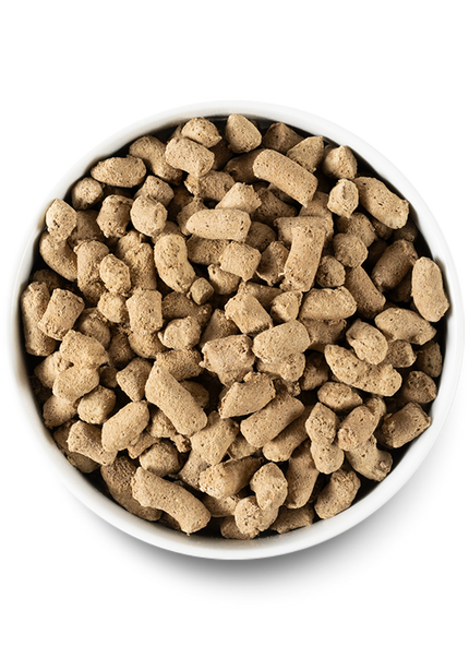 Open Farm Grass-Fed Beef Freeze Dried Raw Dog Food