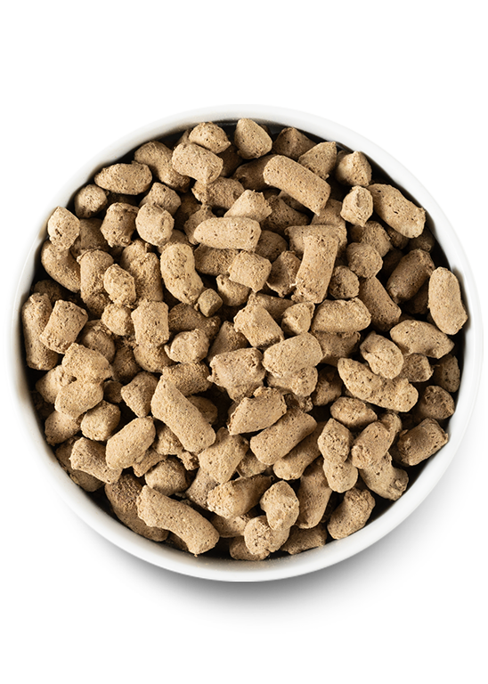 Open Farm Surf & Turf Freeze-Dried Raw Dog Food (3.5 oz/99g)