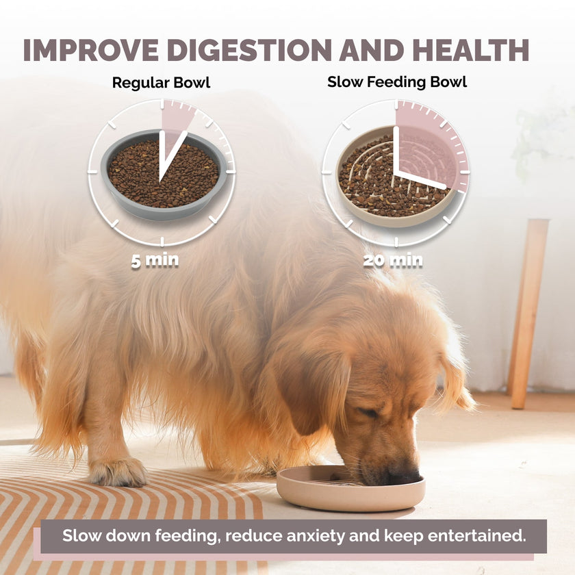 PoPupJoys - Slow Feeder Bowl - Tan