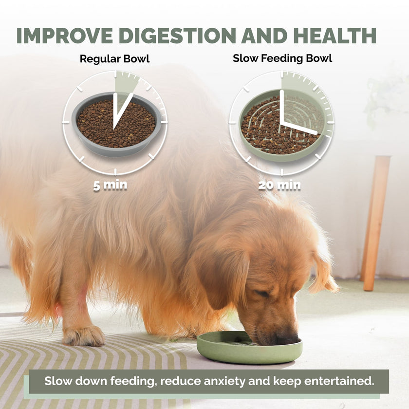 PoPupJoys - Slow Feeder Bowl - Sage