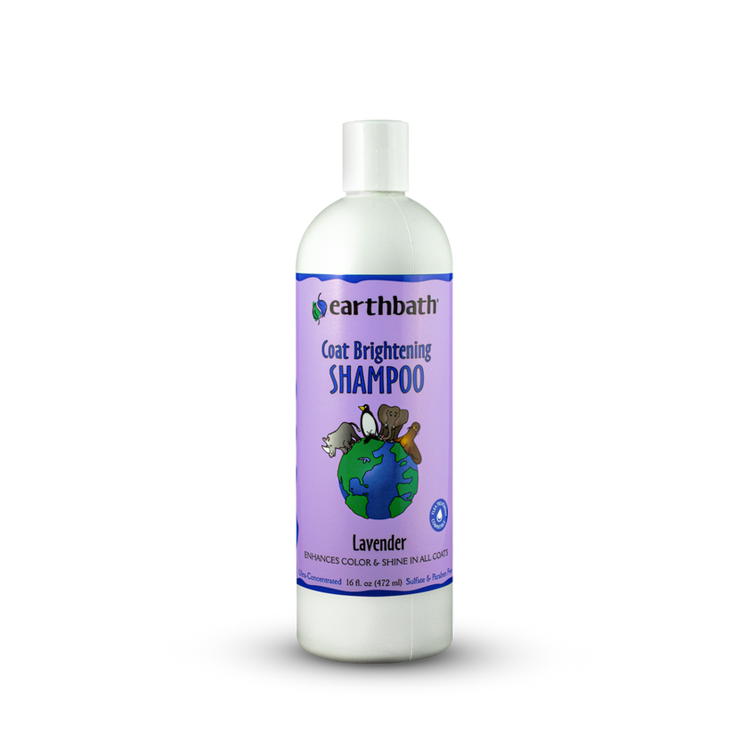 earthbath Coat Brightening Shampoo