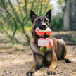 Plush Pet P.L.A.Y. – Smoked Meat Sandwich