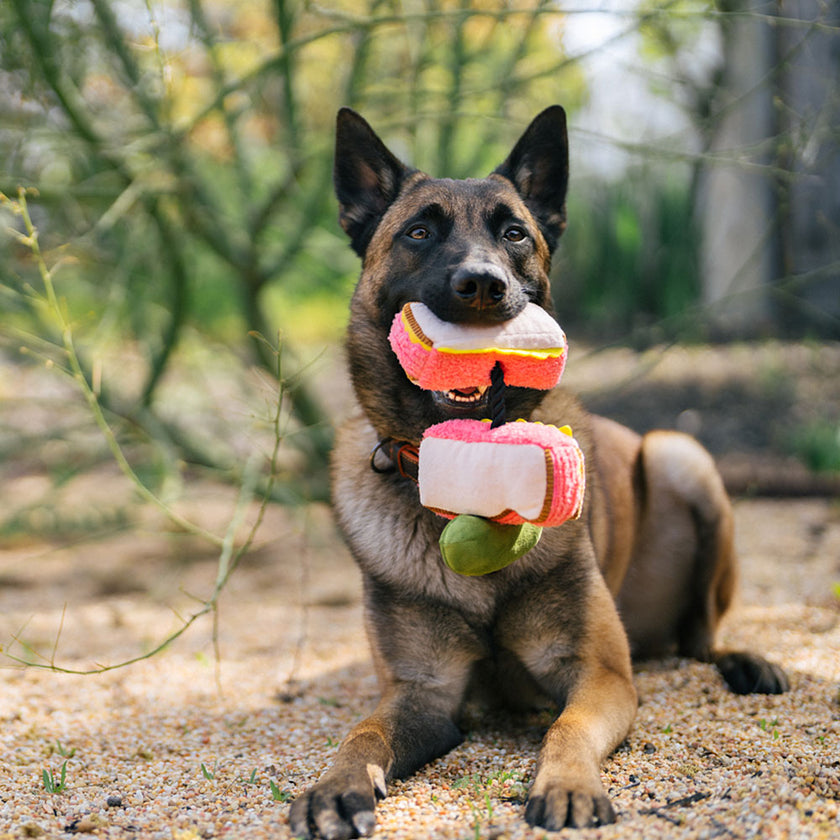 Plush Pet P.L.A.Y. – Smoked Meat Sandwich