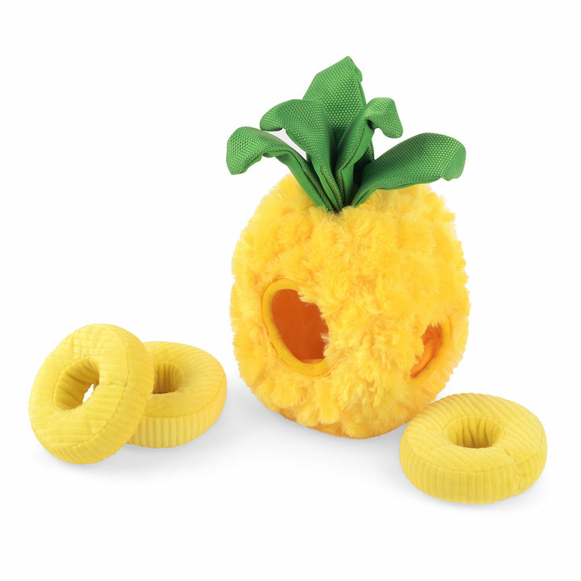 PET PLAY Tropical Paradise Collection – Paws Up Pineapple