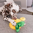 PET PLAY Tropical Paradise Collection – Paws Up Pineapple