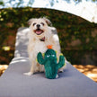 PET PLAY Plush Blooming Buddies Collection – Prickly Pup Cactus