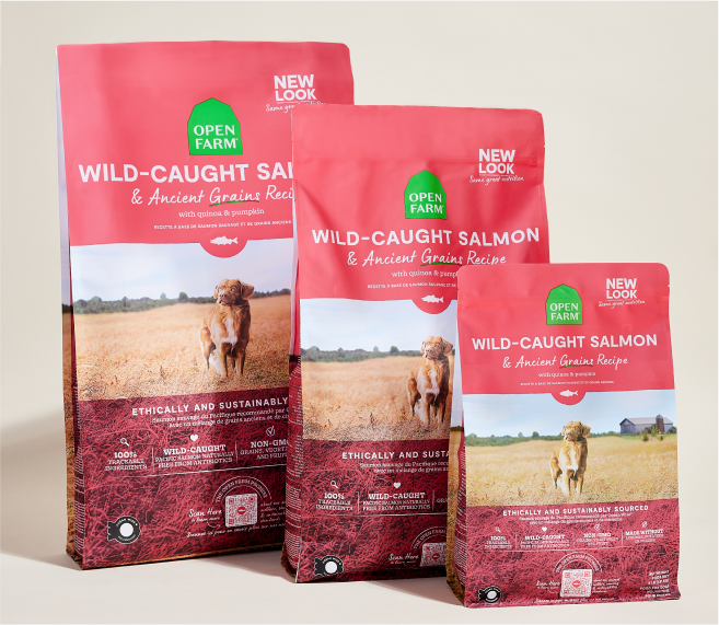 Open Farm Wild-Caught Salmon & Ancient Grains Dry Dog Food (22lb)