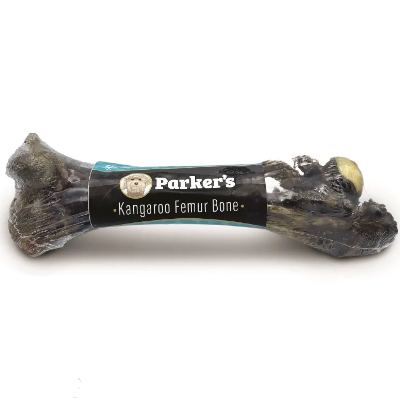 Parker's Kangaroo Femur Bone