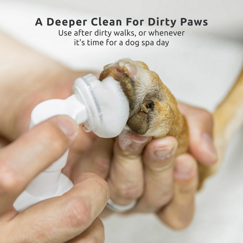 Pawz No-Rinse Paw Cleaning Foam