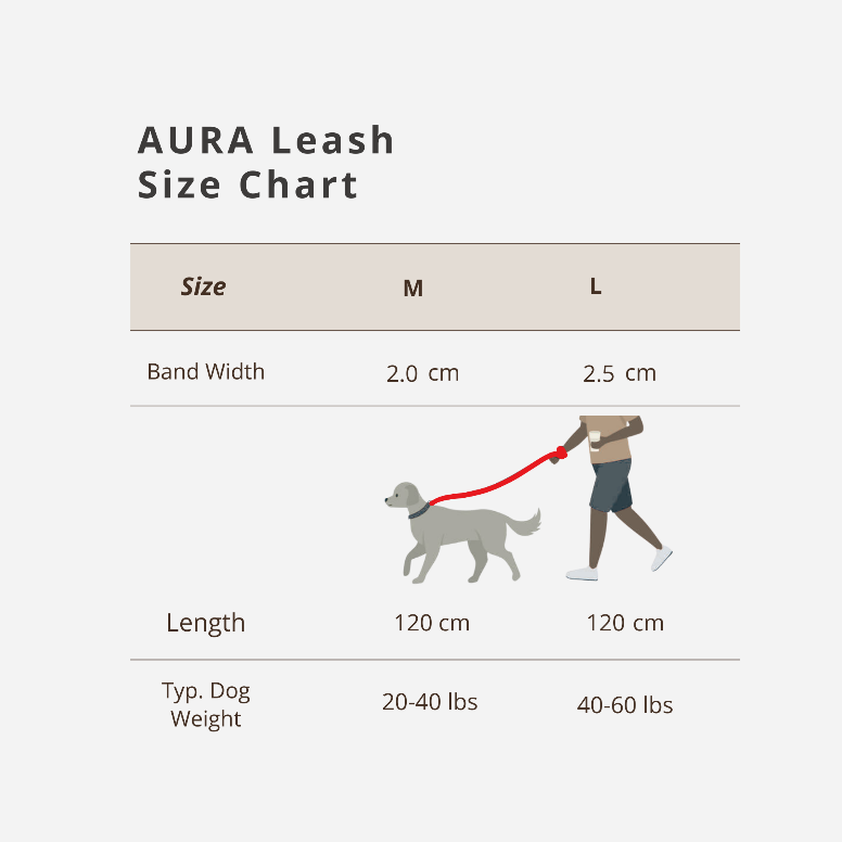 PoPupJoys AURA Dog Leash, Large