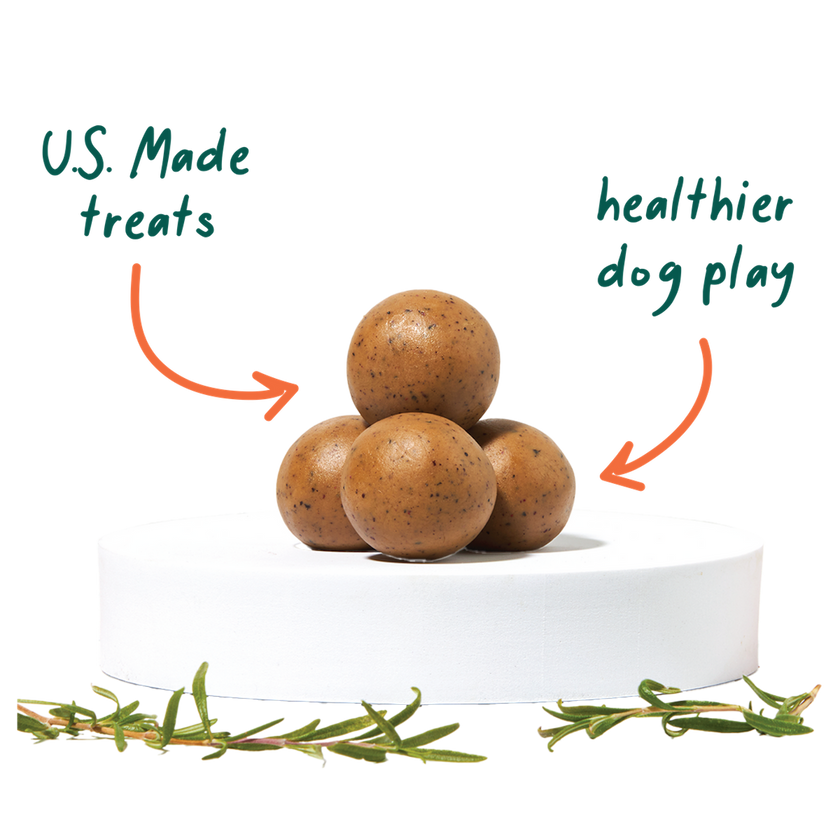 Woof Pupsicle Refill Pops - Beef Flavour
