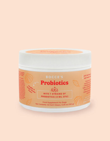 Probiotics Supplements for Dogs - Pumpkin & Sweet Potato Flavor - 60 Soft Chews