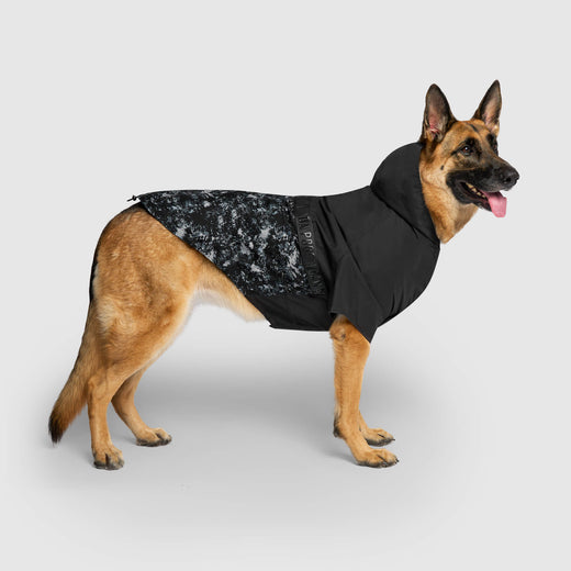 Canada Pooch - Rain Ready Packable Raincoat - Black