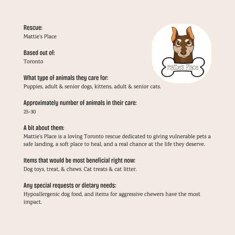 Mattie's Place - $5 Bundle