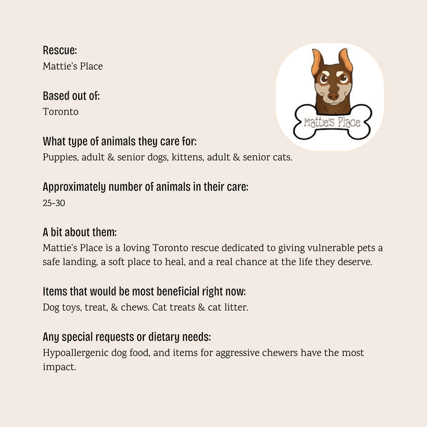 Critter Community Pitch-In for Larger Wishlist Essentials