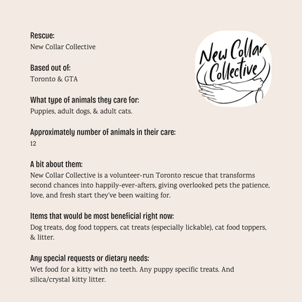 New Collar Collective - $5 Bundle