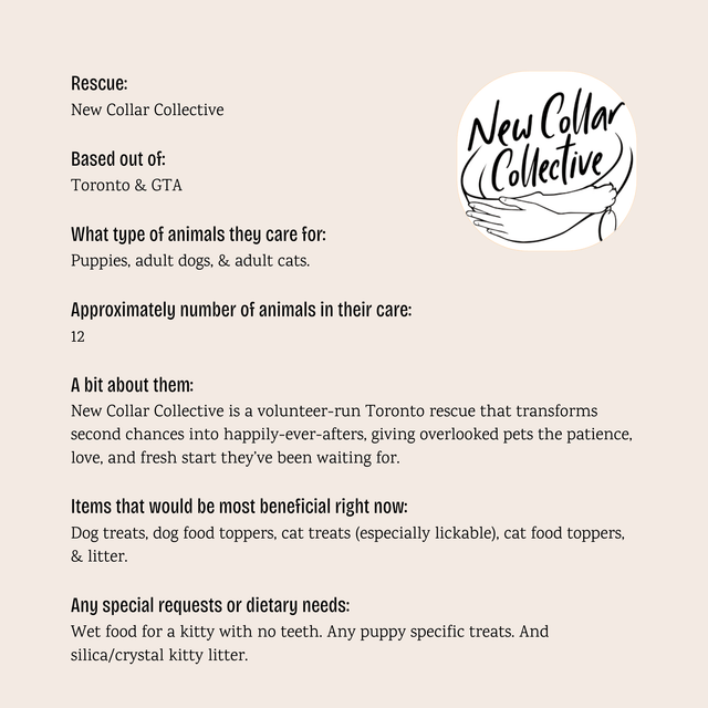 New Collar Collective - $5 Bundle