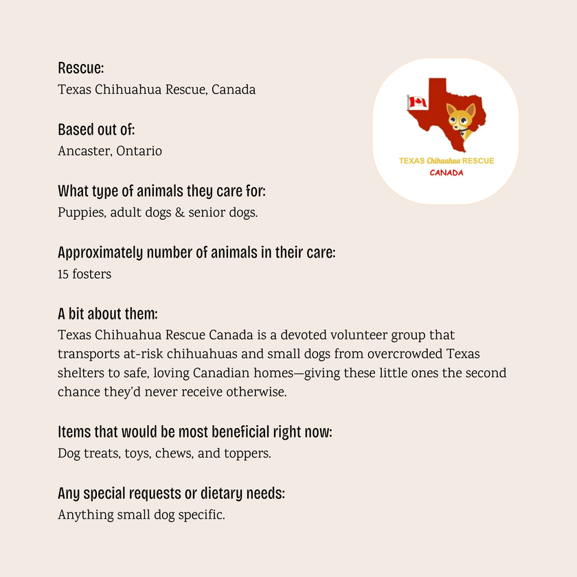 Texas Chihuahua Rescue Canada - $10 Bundle