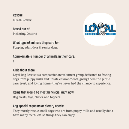 LOYAL Rescue - $5 Bundle