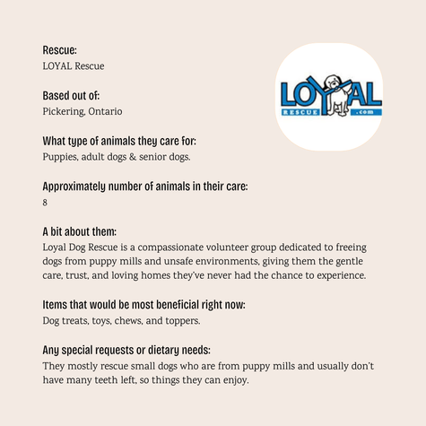 LOYAL Rescue - $5 Bundle