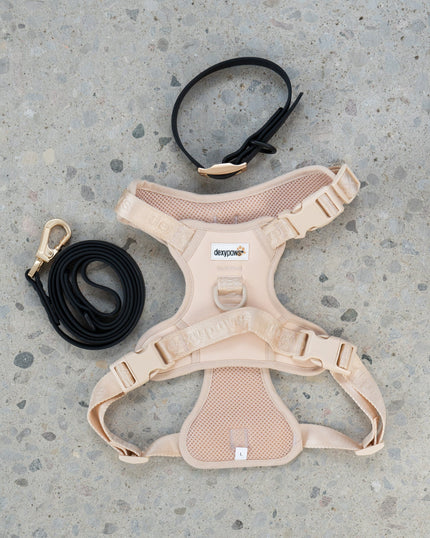 DexyPaws No-Pull Dog Harness pink