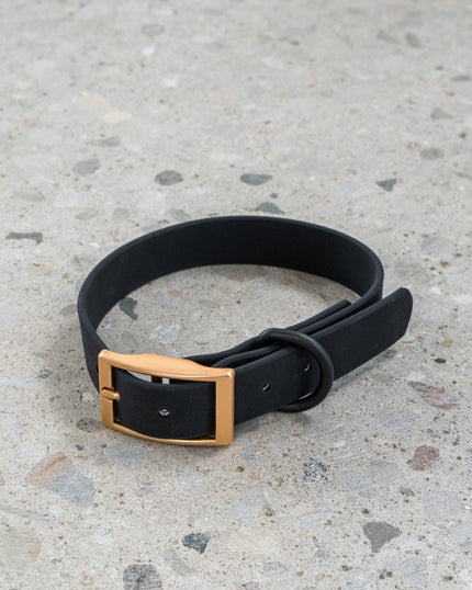 Dexypaws - Waterproof Dog Collar - Black - X-Large
