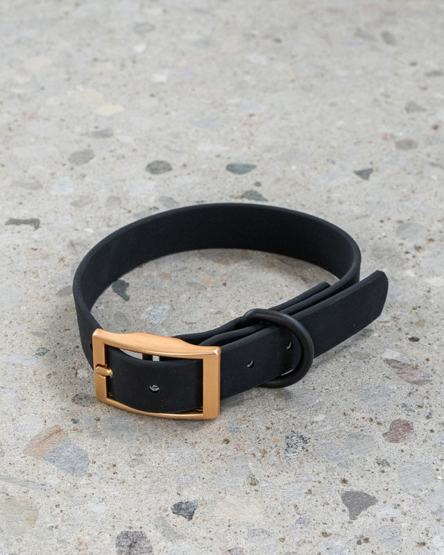 Dexypaws - Waterproof Dog Collar - Black - X-Large