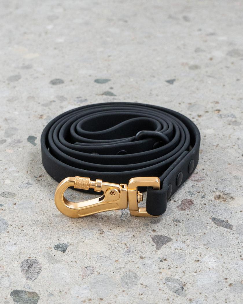 Dexypaws Waterproof Dog Leash