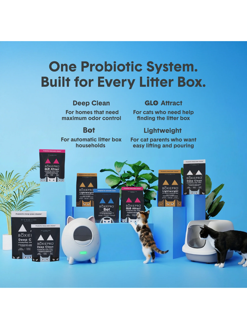 BoxiePro® Lightweight Clumping Cat Litter - 11.5lbs