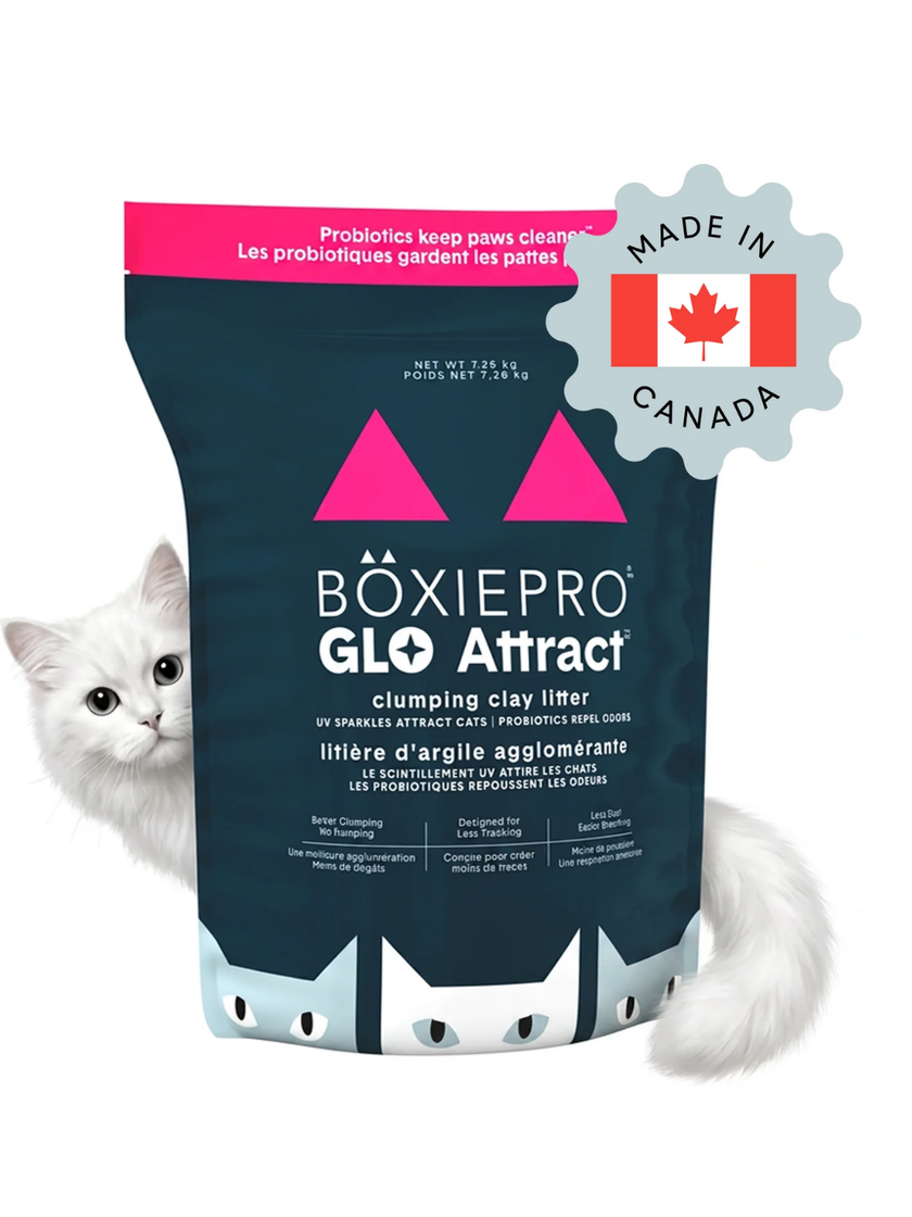 BoxiePro® Glo Attract™ Clumping Clay Cat Litter - Scent Free -16lbs