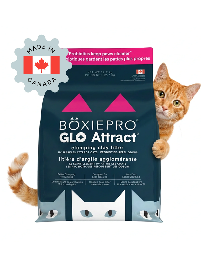 BoxiePro® Glo Attract™ Clumping Clay Cat Litter - Scent Free -16lbs