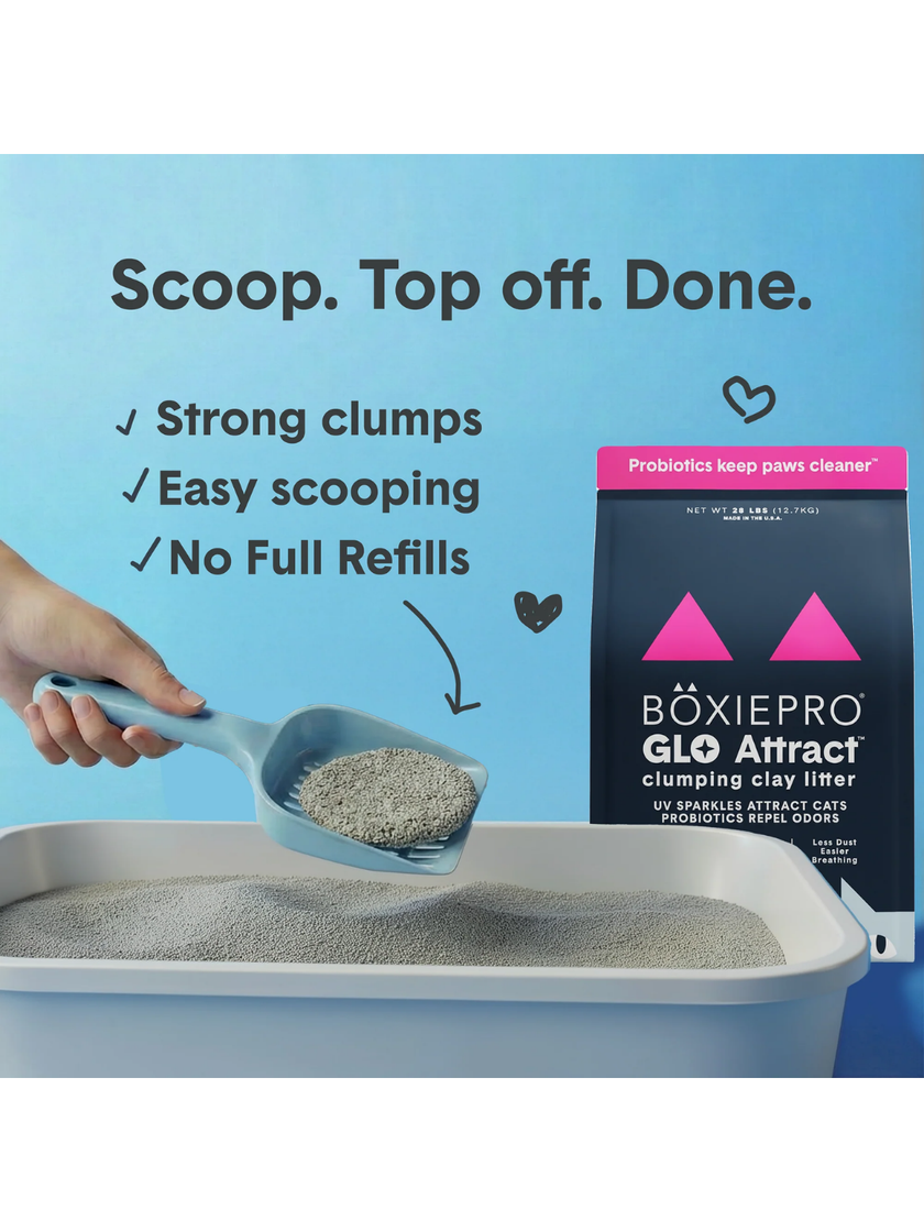 BoxiePro® Glo Attract™ Clumping Clay Cat Litter - Scent Free -16lbs