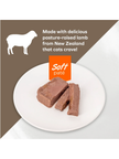 Forza 10 Wet Cat Food - Renal Lamb - 3.5oz