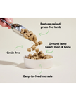 Open Farm Pasture-Raised Lamb Freeze-Dried Raw Dog Food - Lamb High-Protein Complete Meal - 3.5oz (99g)