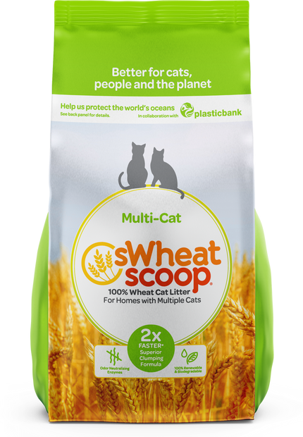 sWheat Scoop Multi Cat 28lb
