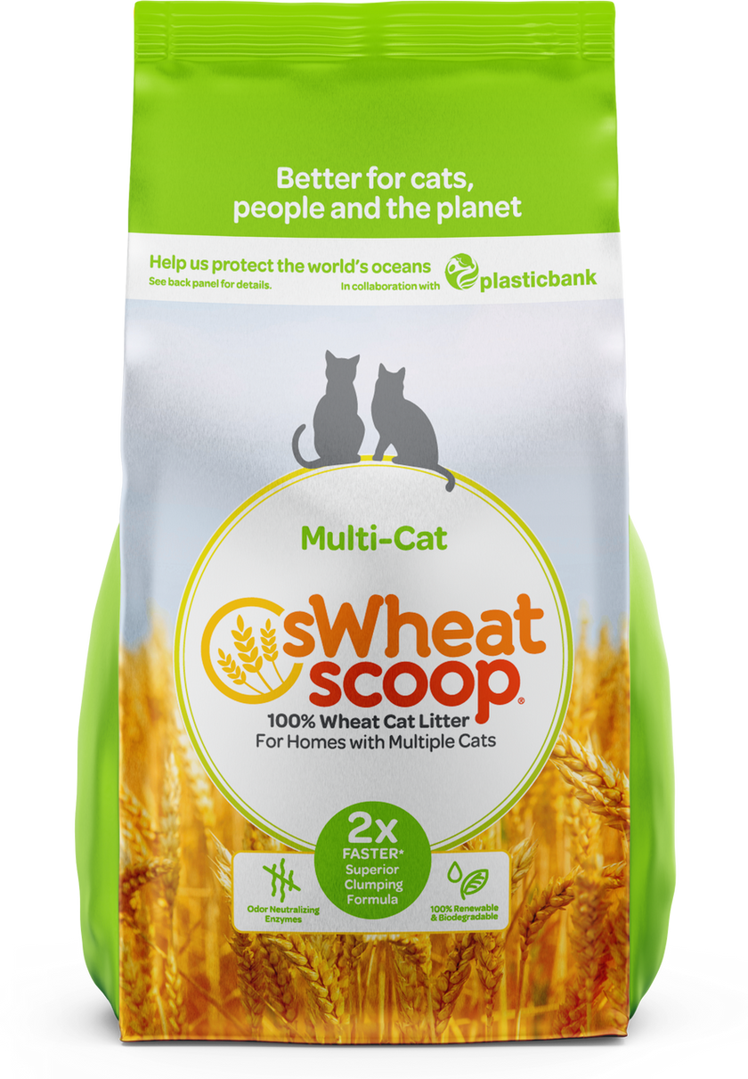 sWheat Scoop Multi Cat (28lb)