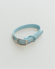Dexypaws - Waterproof Dog Collar - Sky Blue - Medium